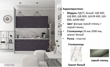 Кухонный гарнитур 2000 мм Агата (Игни) в Богдановиче - bogdanovich.mebel-e96.ru