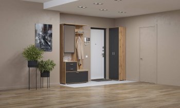 Шкаф для прихожей 65.08 Антре с зеркалом вотан/диамант (Олмеко) в Богдановиче - bogdanovich.mebel-e96.ru