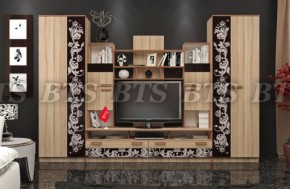 Стенка Багира Каштан (БТС) в Богдановиче - bogdanovich.mebel-e96.ru