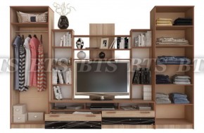Стенка Багира Каштан (БТС) в Богдановиче - bogdanovich.mebel-e96.ru