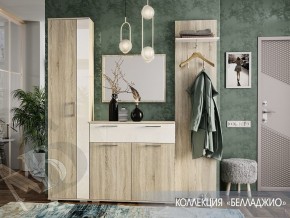 Прихожая Белладжио модульная (БТС) в Богдановиче - bogdanovich.mebel-e96.ru