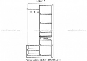 Прихожая София 1 (АстридМ) в Богдановиче - bogdanovich.mebel-e96.ru