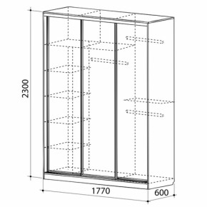 Шкаф-купе Бассо 2-600 (полки слева) в Богдановиче - bogdanovich.mebel-e96.ru