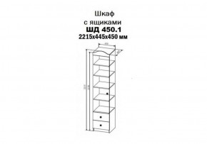 Шкаф-пенал KI-KI 450 мм, ШД450.1 (ДСВ) в Богдановиче - bogdanovich.mebel-e96.ru