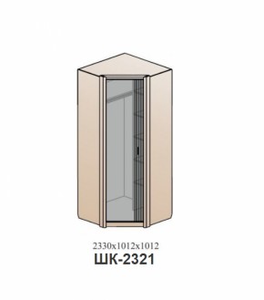 Шкаф ШЕР Дуб апрель темный/лофт голдэн пэлас (ШК-2321) в Богдановиче - bogdanovich.mebel-e96.ru | фото