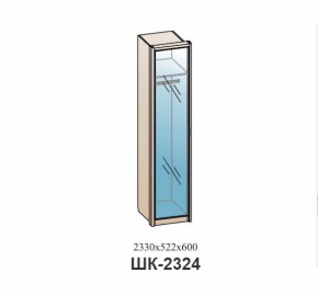 Шкаф ШЕР Дуб апрель темный/лофт голдэн пэлас (ШК-2324) в Богдановиче - bogdanovich.mebel-e96.ru | фото