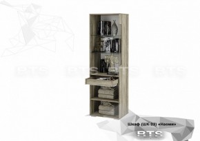 Шкаф ШК-23 Наоми 600 мм (БТС) в Богдановиче - bogdanovich.mebel-e96.ru