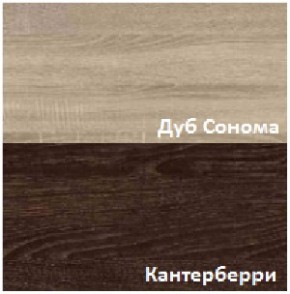 Стенка Рио (Гор) в Богдановиче - bogdanovich.mebel-e96.ru