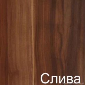 Стол-книжка (1-65) (ГК) в Богдановиче - bogdanovich.mebel-e96.ru