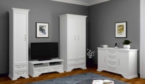 Тумба для теле-и радиоаппаратуры,  2ящ. ГРАЦИЯ (лак) Белый (БМ) в Богдановиче - bogdanovich.mebel-e96.ru